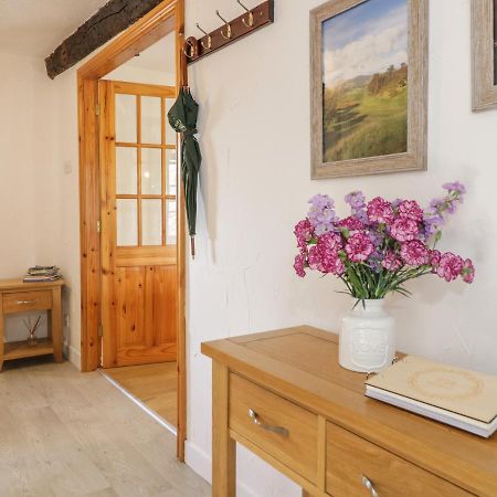 Cyffdy Cottage - Tegid Bala Εξωτερικό φωτογραφία